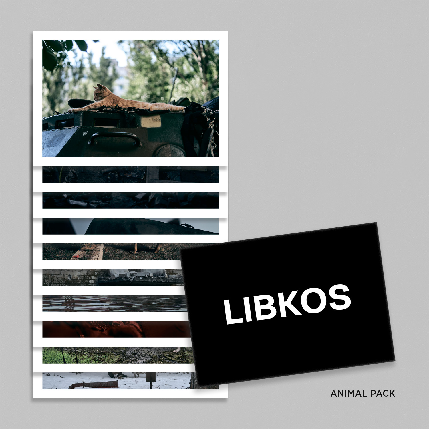 Postcard set from Libkos